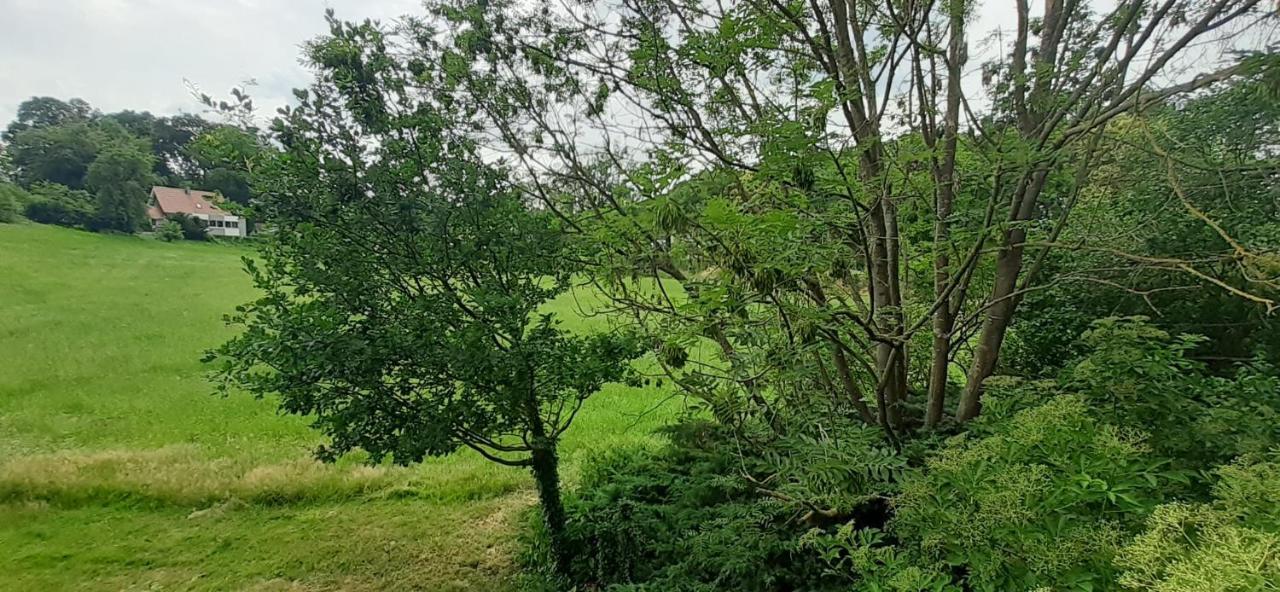 Fewo Im Naturschutzgebiet Hiddenhausen Exterior foto
